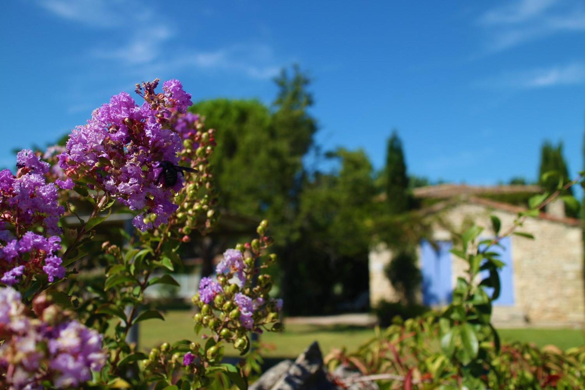 Mas Orea Villa Gordes Exterior foto